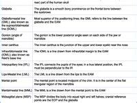 Image result for Rad Tech Student