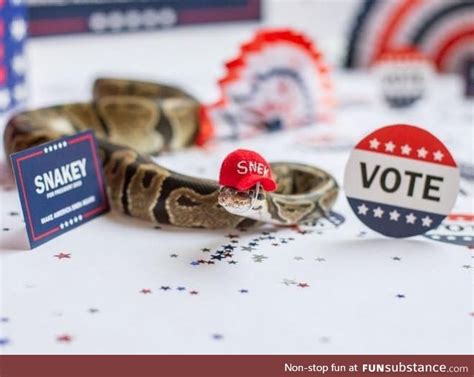 Image result for How to Make Snake Party Hat
