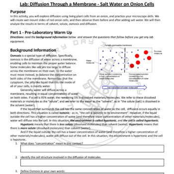 Image result for Cell Membrane Diffusion Lab