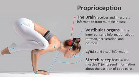 Afbeeldingsresultaten voor Proprioception Explained