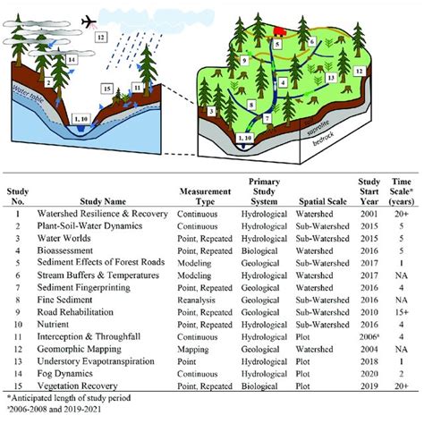Image result for Spatial Representation