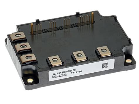 Essential IPM に対する画像結果