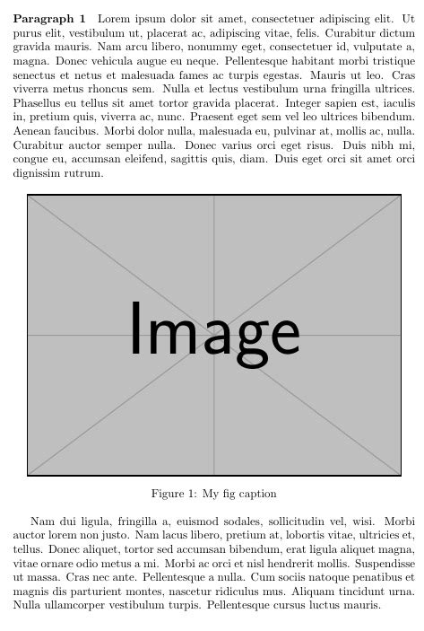 Image result for Description of a Figure Example Text Under an Image