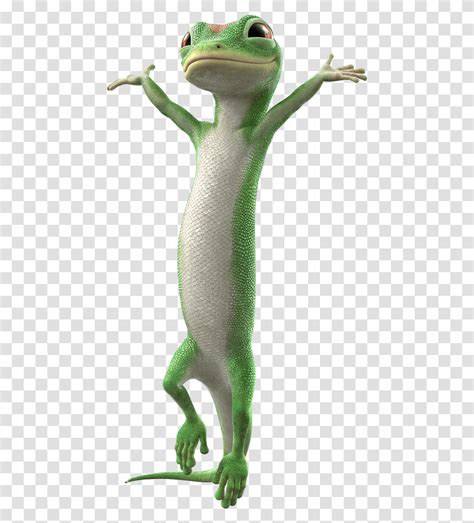 Toradh íomhá ar GEICO Lizard Running