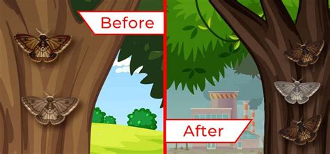 Afbeeldingsresultaten voor Natural Selection Rabbit Examples