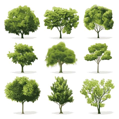 Image result for Free Vector Graphics Trees