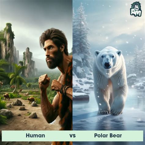 Image result for Atlas Bear Compared to a Human