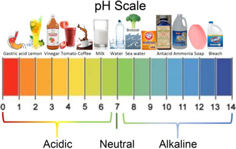 Image result for Acid-Base Scale