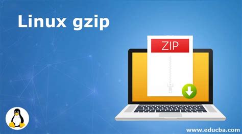 Image result for Gzip Program