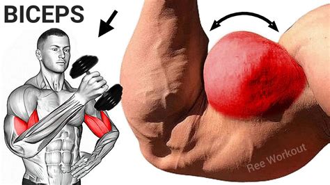 Image result for Bicep Peak Workout