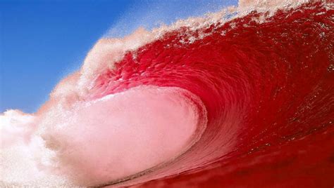 Image result for Consrvative Red Wave