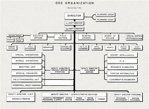 Image result for Service Operations Organization