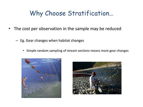 Image result for Stratified Random Sampling Procedure