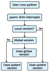 Afbeeldingsresultaten voor Python Version Manager Icon