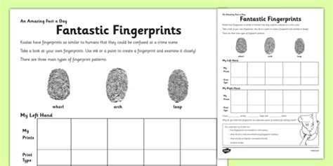 Image result for Fingerprint Lesson