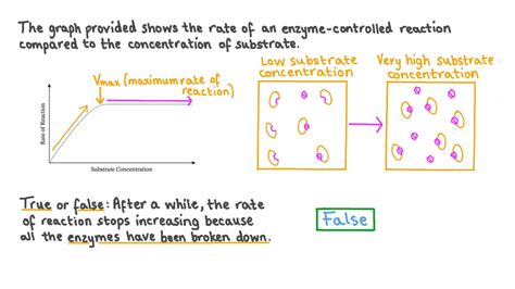Image result for Enzyme Substrate Concentration Graph