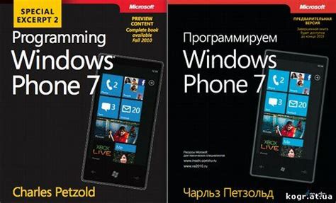 Toradh íomhá ar Programming Windows 5th Edition