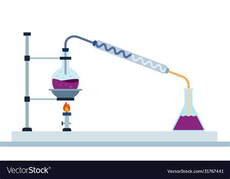 Afbeeldingsresultaten voor Follicular Process Diagram Simple