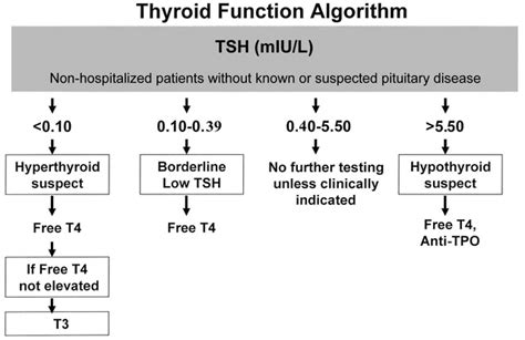 Image result for Thyroid Testing Algorithm
