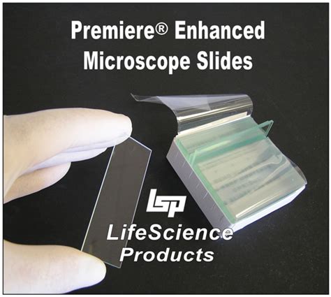 Image result for Lumen Microscope Slide