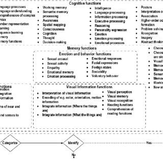 Image result for Visual Cognition Examples