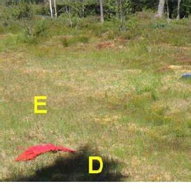 Target Layout に対する画像結果