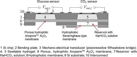 Image result for Hydrogel Sensor Array