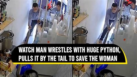 Image result for Man Wrestles Python