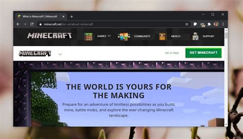 Image result for Minecraft Java Trial Download