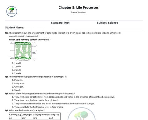 Class 10 Life Processes Diagram Based Question に対する画像結果