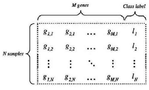 Microarray Data Matrix に対する画像結果