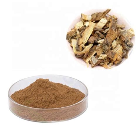 Image result for Elm Tree Bark Extract