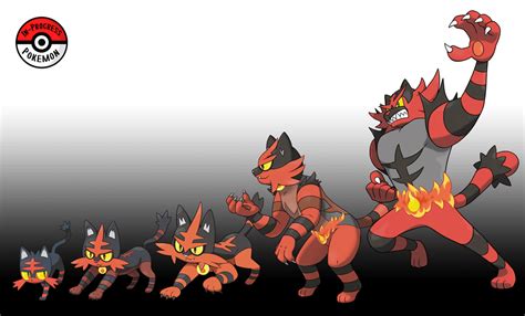 Litten Max Evolution に対する画像結果