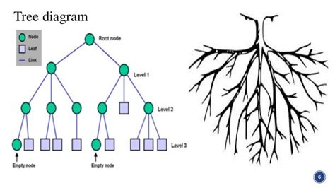 Afbeeldingsresultaten voor Graphy Theory Tree Search
