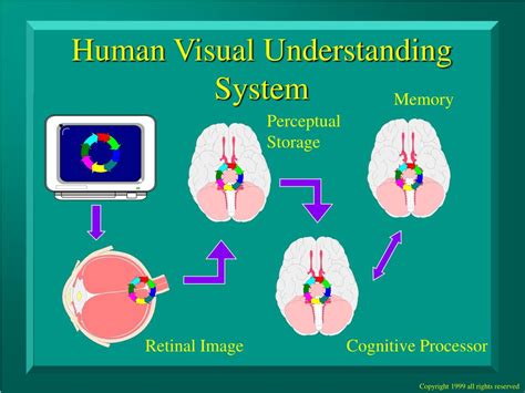 Image result for Visual Processing Speed Training