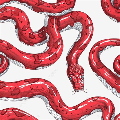 Toradh íomhá ar Red Python Reddit