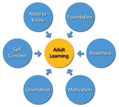 Toradh íomhá ar Adult Learning Theory Principles