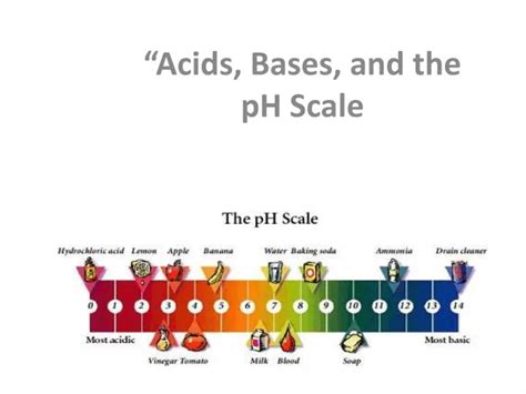Image result for Acid-Base Scale