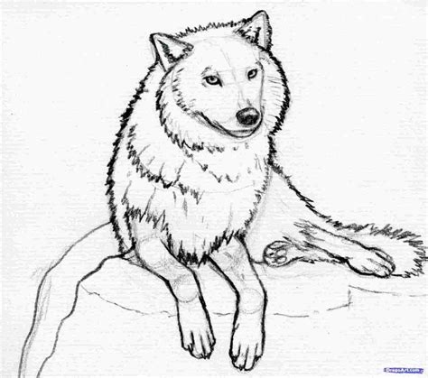Image result for Simple Wolf Drawing