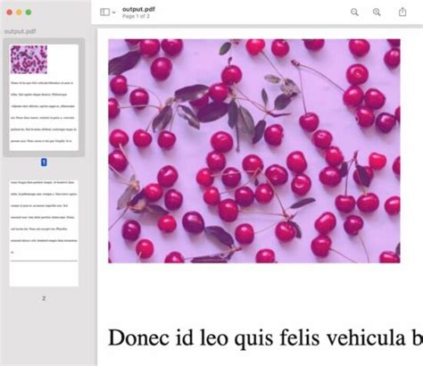 Toradh íomhá ar HTML Generate PDF JavaScript with Picture