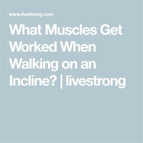 Afbeeldingsresultaten voor Muscles Used Walking