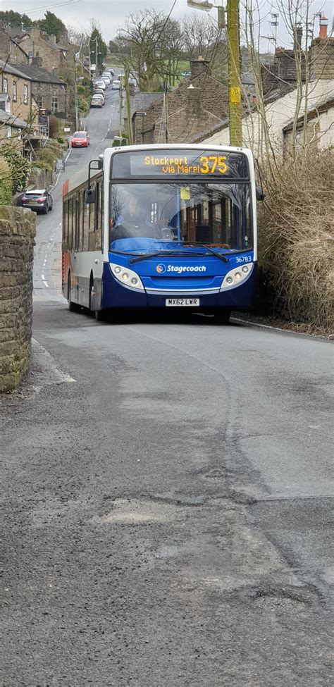 Image result for Bus Number 375