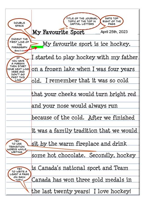 Image result for Journal Example