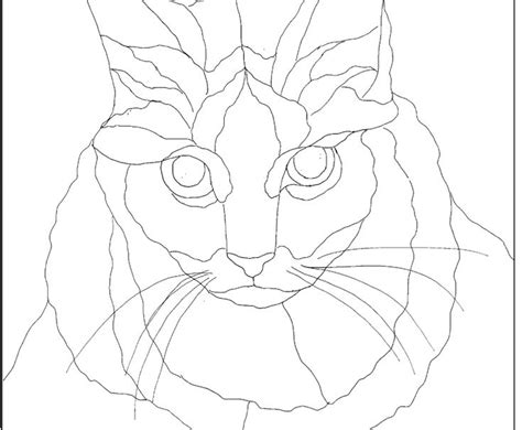 Shell Cat Drawing に対する画像結果
