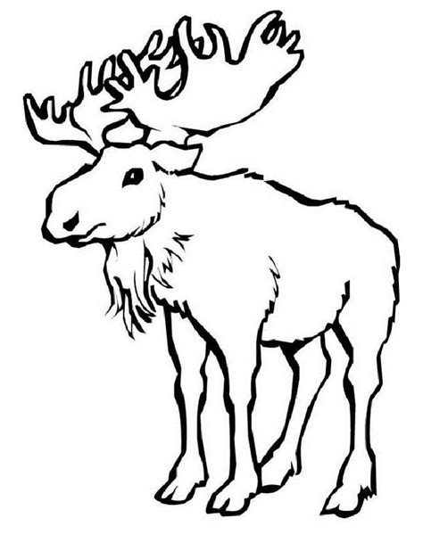 Toradh íomhá ar Moose Head Vector Coloring Page