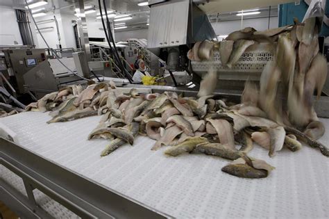 Image result for Winnipeg Fish Processor