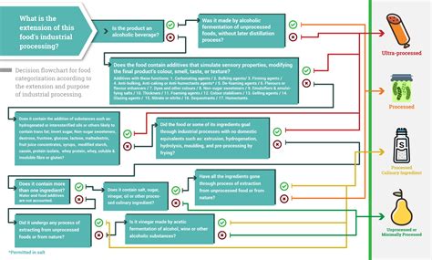 Image result for Food Classification Flowchart