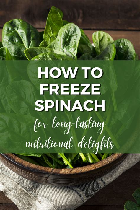 Image result for How to Freeze Spinach Leaves
