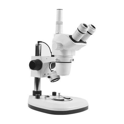 Image result for Stereo Microscope