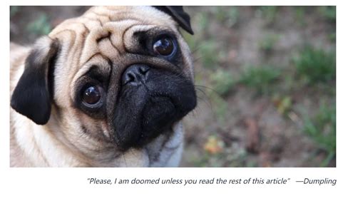 Image result for Pathos